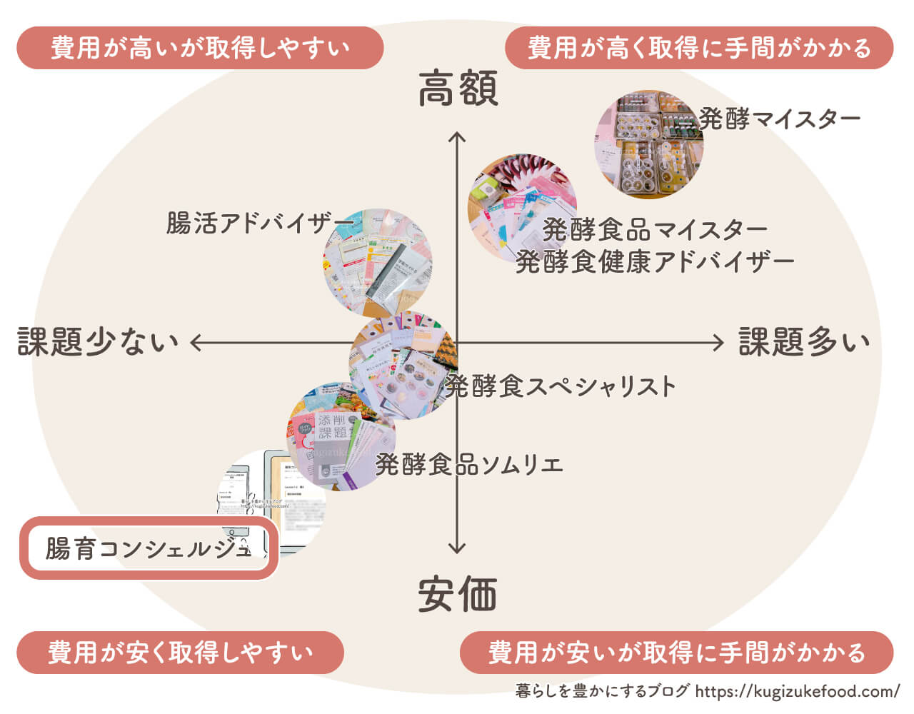 発酵資格はどれがいい?腸活おすすめ7種類の資格一覧比較したポジショニングマップ