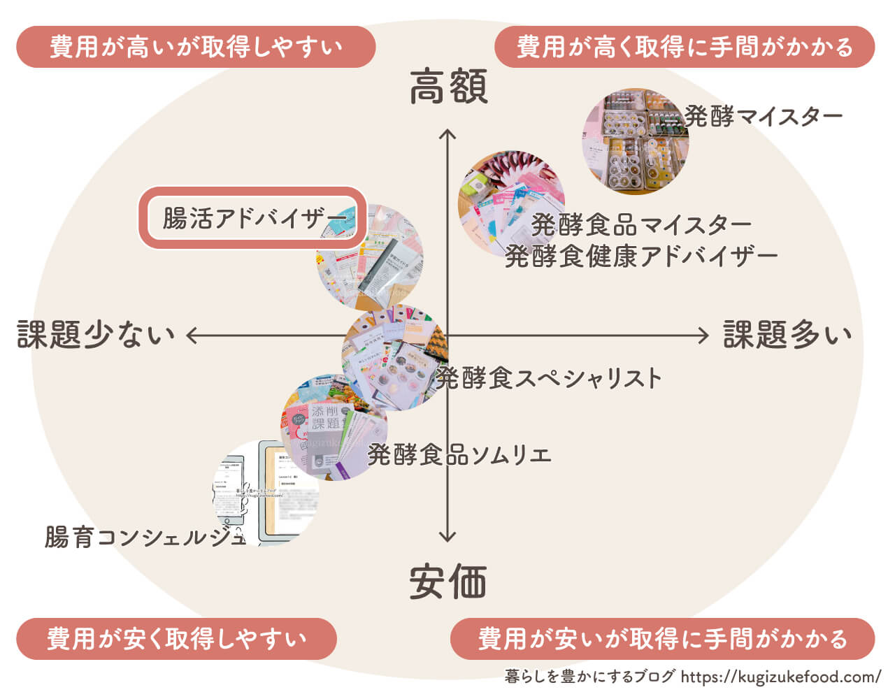 発酵資格はどれがいい?腸活おすすめ7種類の資格一覧比較したポジショニングマップ