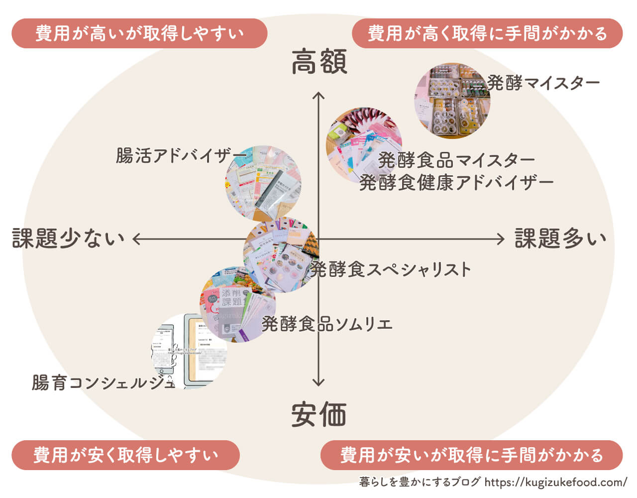 発酵資格はどれがいい?腸活おすすめ7種類の資格一覧比較したポジショニングマップ