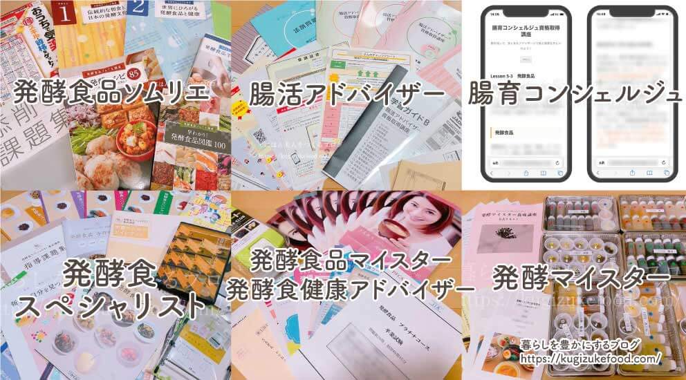 発酵資格はどれがいい?腸活おすすめ7種類の独学できる通信講座一覧比較