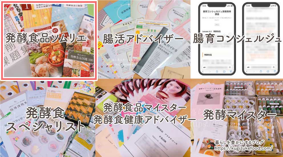発酵資格はどれがいい?腸活おすすめ7種類の独学できる通信講座一覧比較