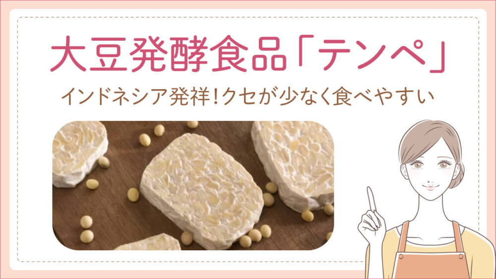 大豆の発酵食品「テンペ」