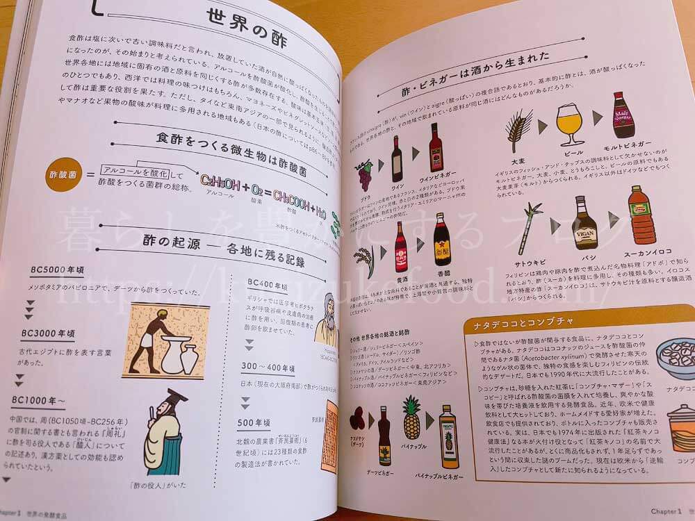 発酵はおいしい!イラストで読む世界の発酵食品