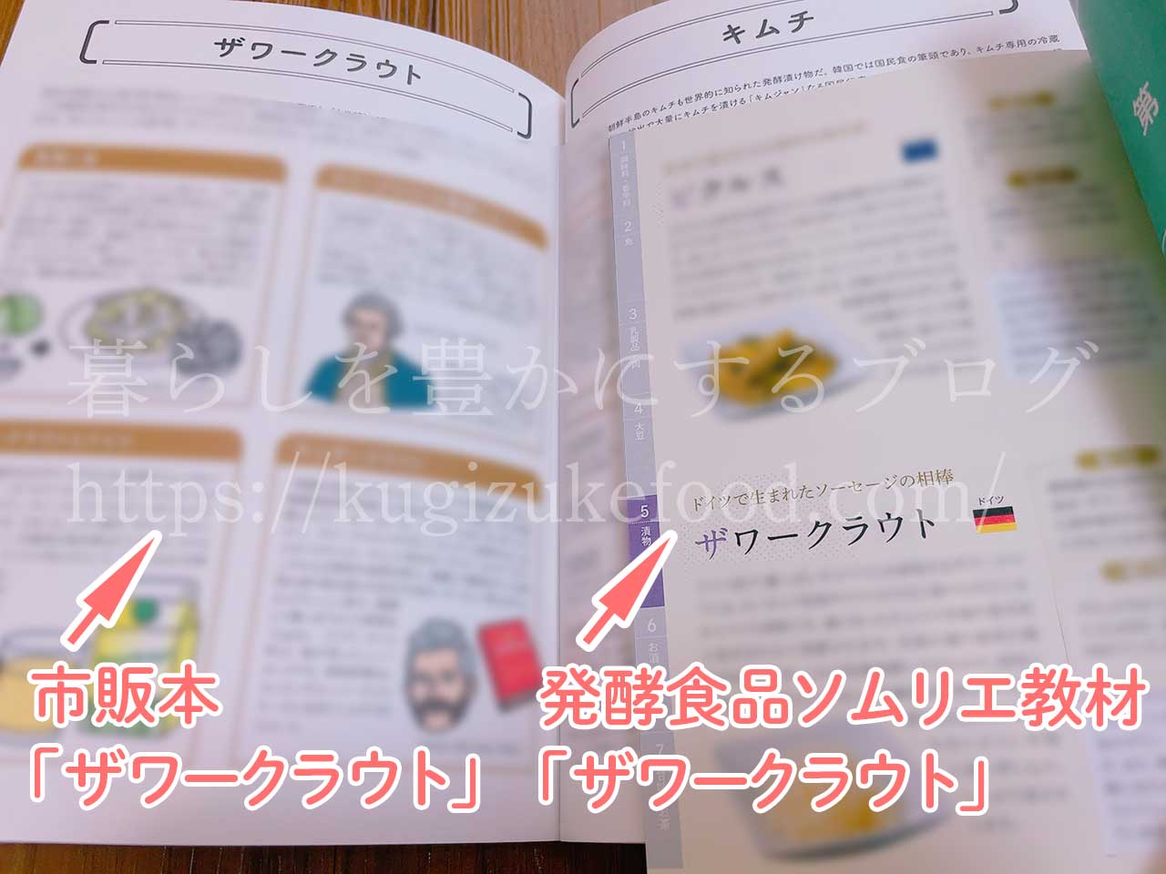 発酵食品ソムリエ講座内容を独学するならこの本